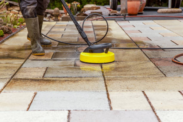Best Roof Washing  in Luverne, MN